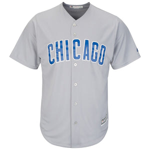 Men's Chicago Cubs Anthony Rizzo Majestic Gray Official Cool Base Player Jersey