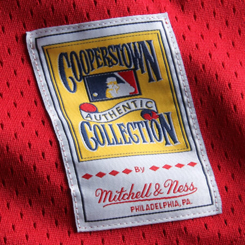 Image of Men's St. Louis Cardinals Ozzie Smith Mitchell & Ness Cooperstown Mesh Batting Practice Jersey